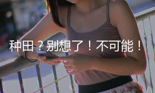 《穿书后，她在八十年代发家致富》全文在线阅读