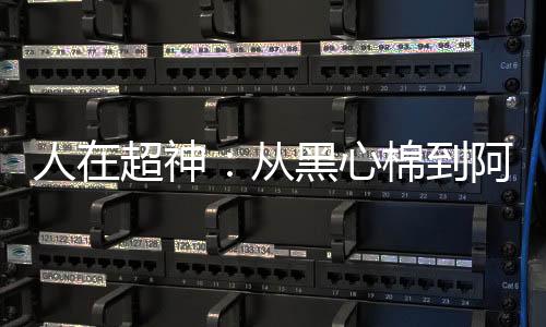 《当社恐成为警局团宠》全文在线阅读