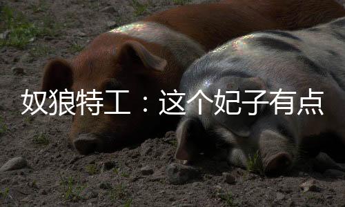 奴狼特工：这个妃子有点狂