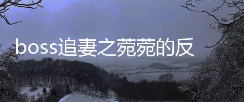 《疯批美人有小岛，年代大佬宠上心》全文在线阅读